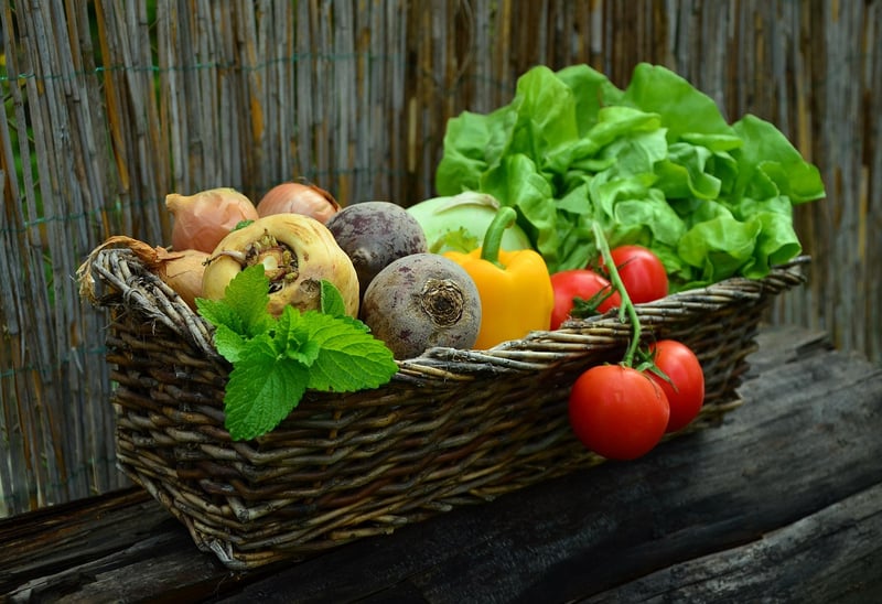 Farm Fresh Vegetables